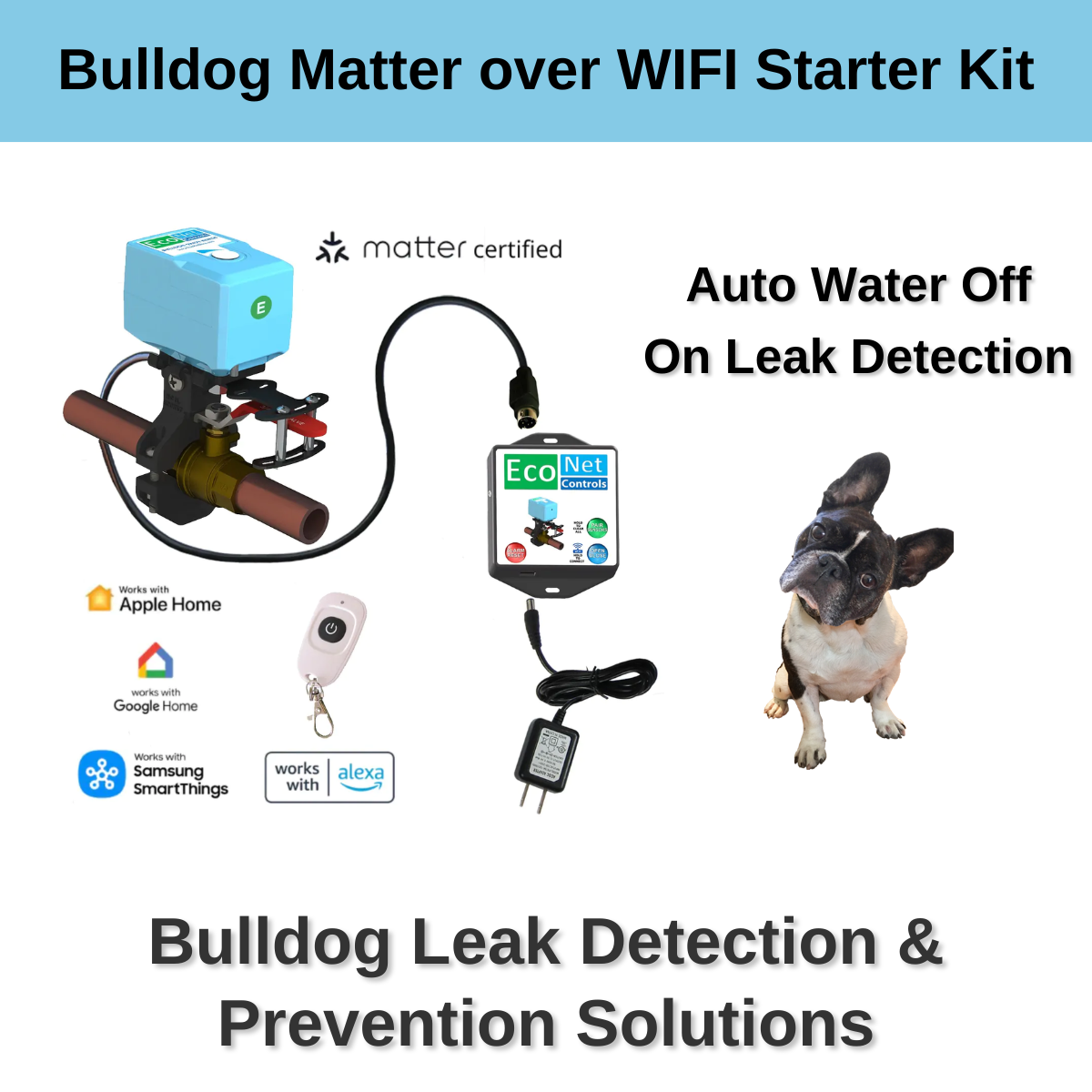 Bulldog Matter over WIFI Starter Kit | EVC400-MW