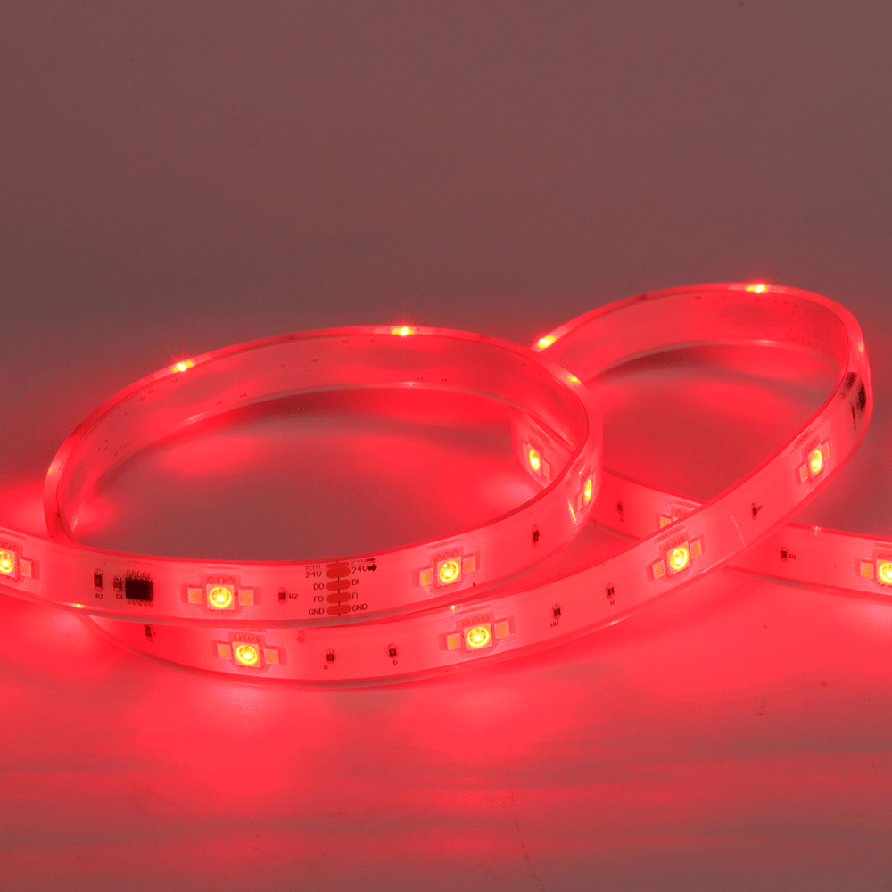 Product Display Visual of the SKU: LBL-5050-2835-72P-24V-10MM-RGBTW-SPI-IP65 for Marketing of theLotus RGBTW LED Strip SPI 24V 33ft IP65 | LBL-5050-2835-72P-24V-10MM-RGBTW-SPI-IP65