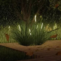 Bamboo Lights | SBBL