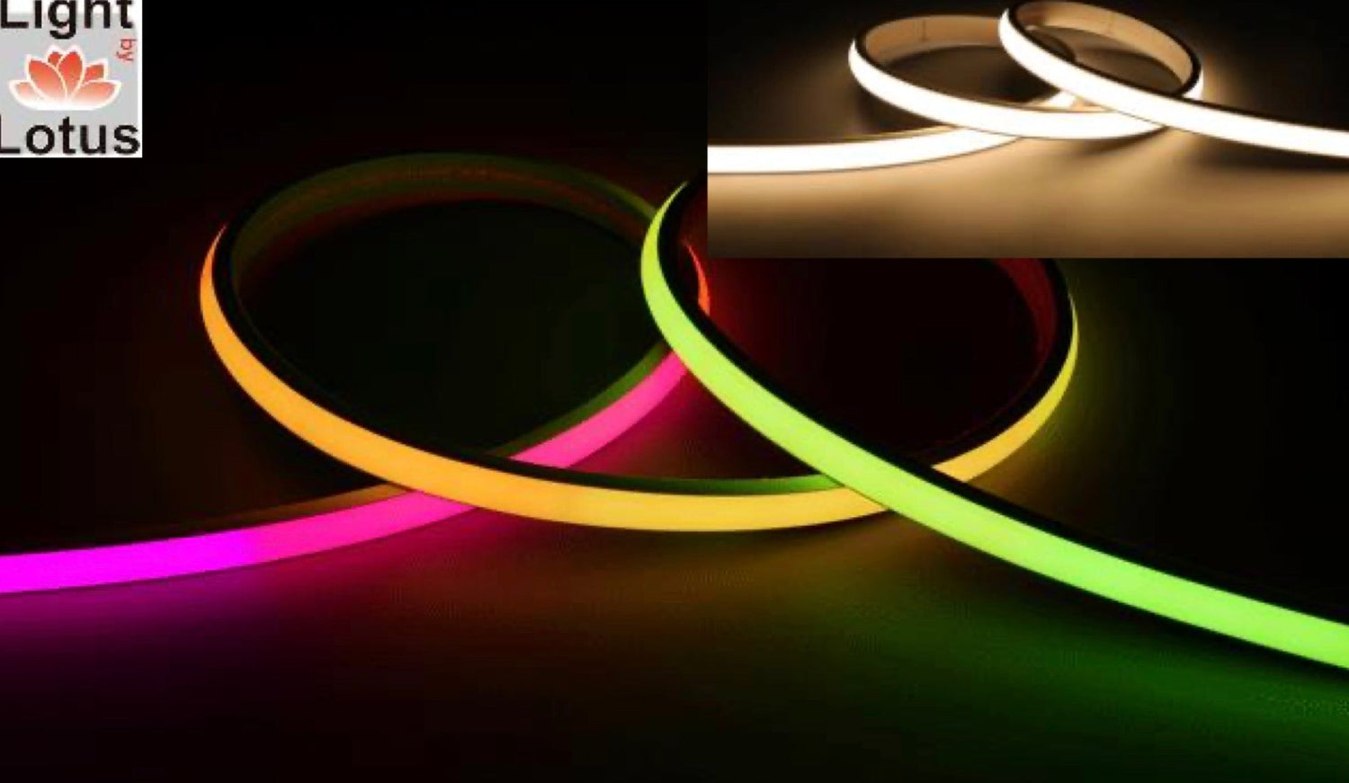 New Lotus LED Products