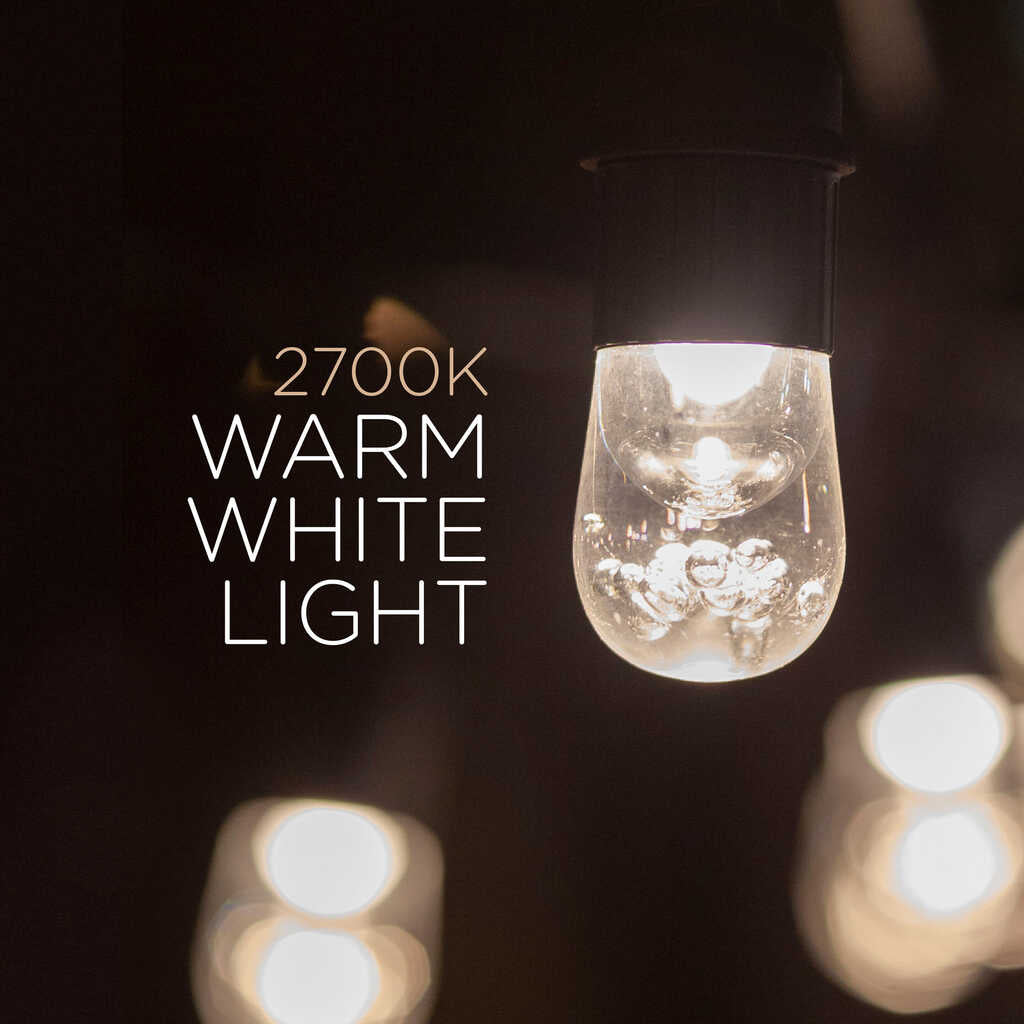 Enbrighten Classic LED Cafe Lights, 48ft | 31664