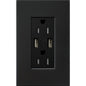 Lutron New Architectural 15A Tamper-Resistant USB-A Duplex Receptacle, Self-Testing, Wall Plate Included, Matte Finish |  NTR-15-UBTR