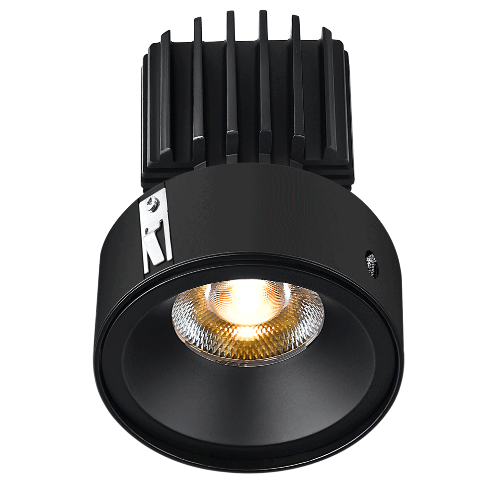 Tangra 3" Fixed Round Recessed Invisible Flangeless Black | L3F-RRF-BK