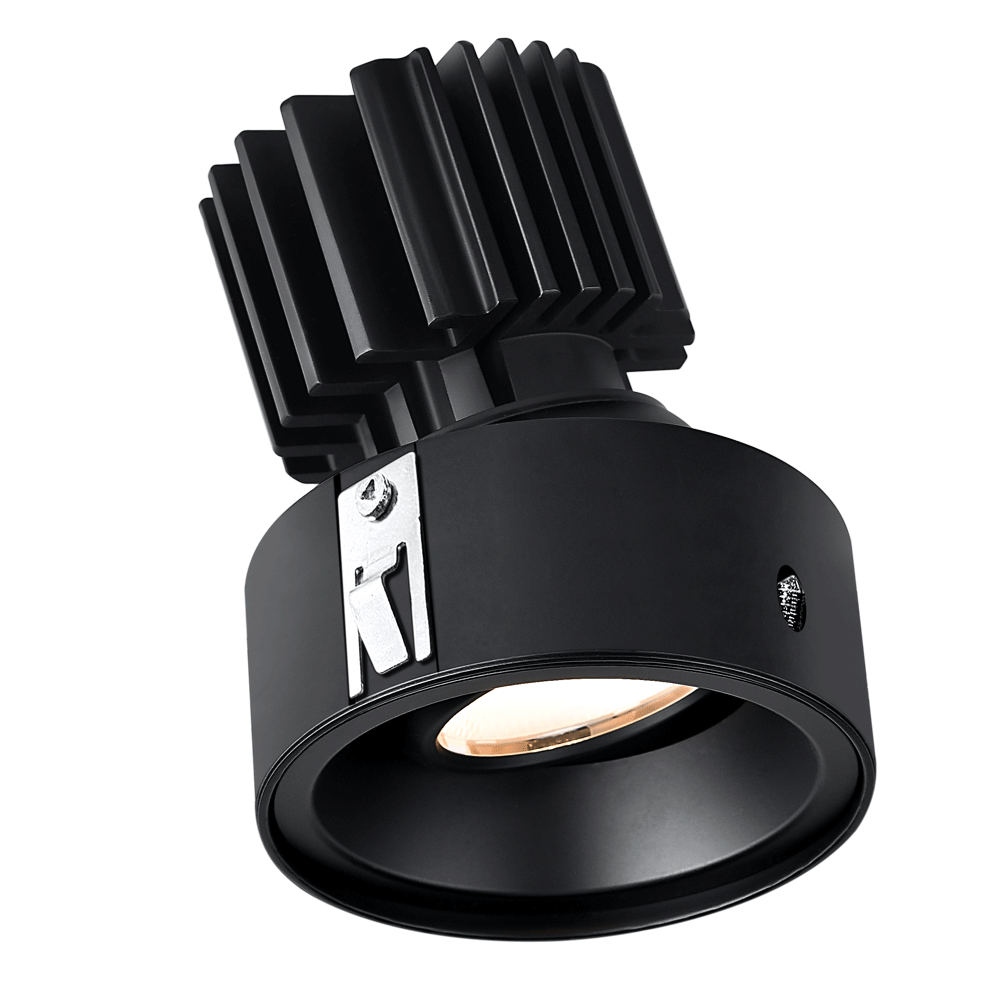 Tangra 3" Gimbal Round Invisible Flangeless Black | L3G-RIF-BK