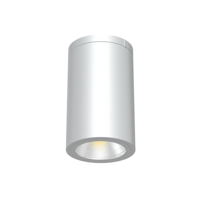 Reno 6" Ceiling Mount Cylinder Downlight