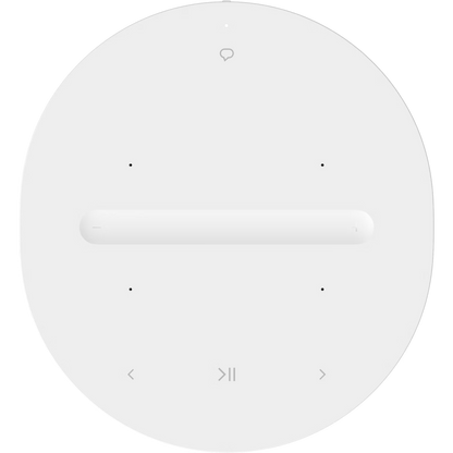 Sonos Indoor/Outdoor Set with Sonos Play + Era 100