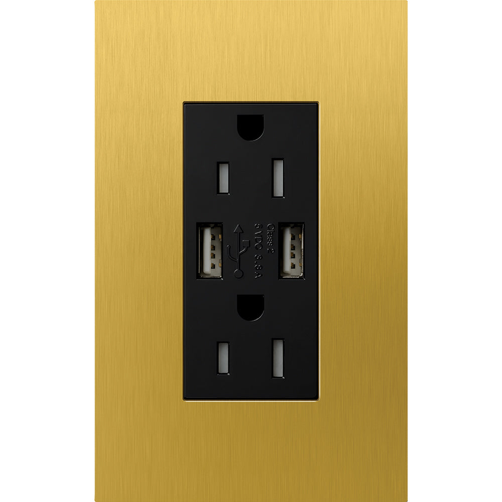 Lutron New Architectural 15A Tamper-Resistant USB-A Duplex Receptacle, Self-Testing, Wall Plate Included, Matte Finish |  NTR-15-UBTR