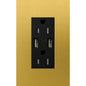 Lutron New Architectural 15A Tamper-Resistant USB-A Duplex Receptacle, Self-Testing, Wall Plate Included, Matte Finish |  NTR-15-UBTR