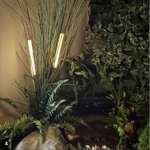 Bamboo Lights | SBBL