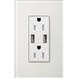 Lutron New Architectural 15A Tamper-Resistant USB-A Duplex Receptacle, Self-Testing, Wall Plate Not Included, Matte Finish, NTR-15-UBTR