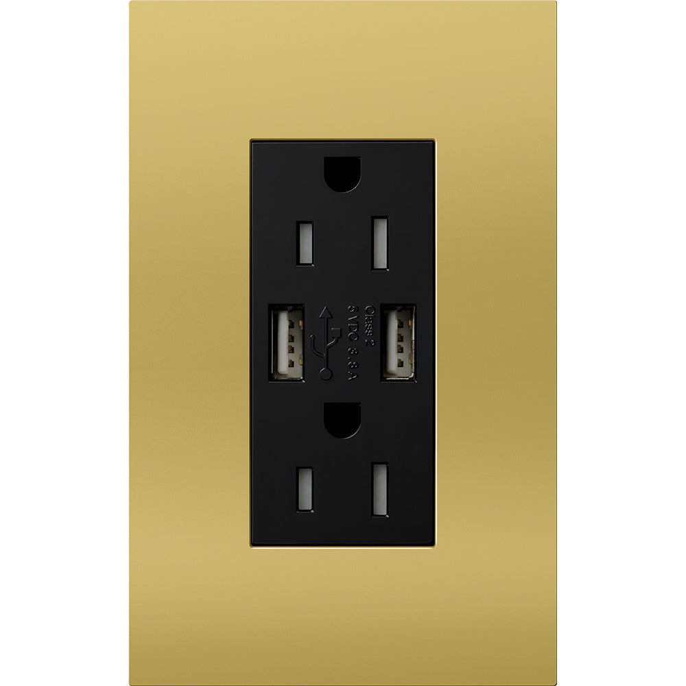 Lutron New Architectural 15A Tamper-Resistant USB-A Duplex Receptacle, Self-Testing, Wall Plate Included, Matte Finish |  NTR-15-UBTR