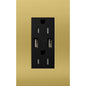 Lutron New Architectural 15A Tamper-Resistant USB-A Duplex Receptacle, Self-Testing, Wall Plate Included, Matte Finish |  NTR-15-UBTR