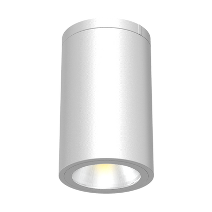 Reno 6" Ceiling Mount Cylinder Downlight