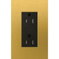 Lutron Architectural 15A Tamper-Resistant Duplex Receptacle | LTR-15-TR