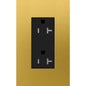 Lutron Architectural 20A Tamper-Resistant Duplex Receptacle | LTR-20-TR