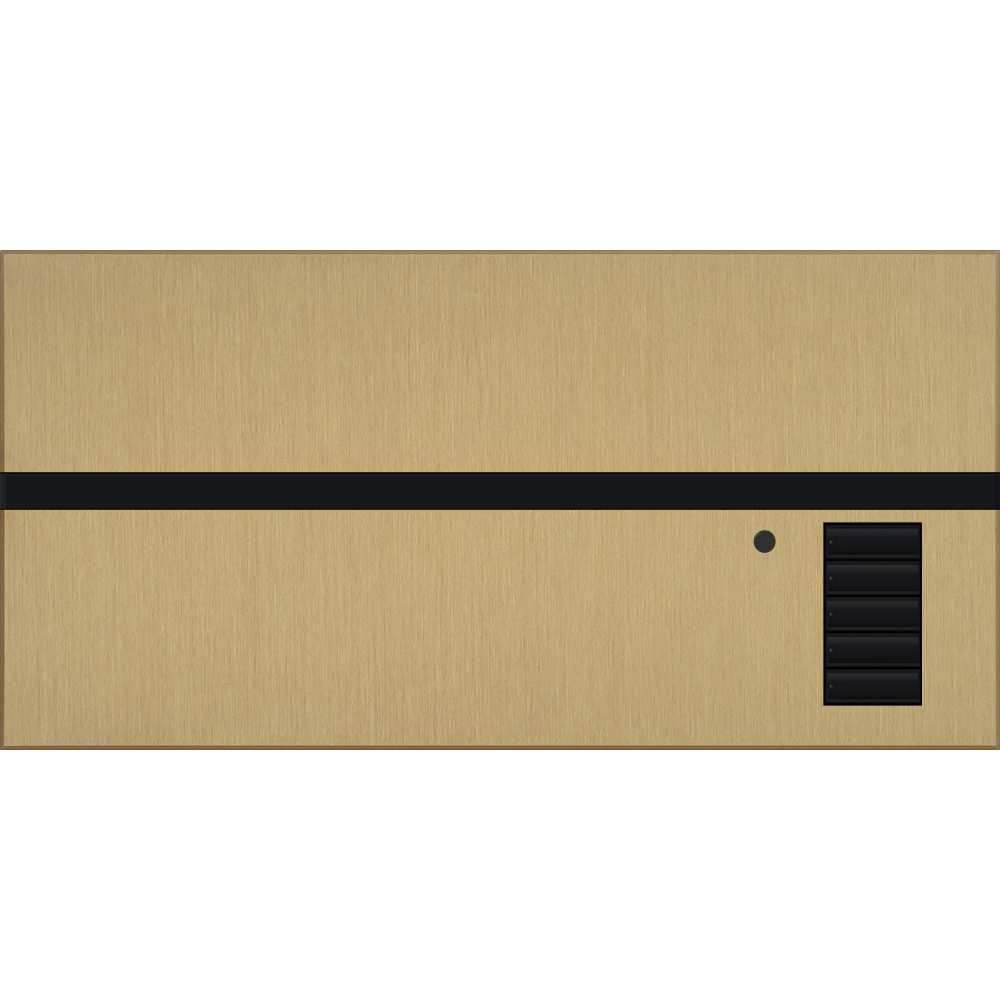 Lutron GRAFIK Eye QS Metal Faceplate Kit - Architectural Finish | QSGFP